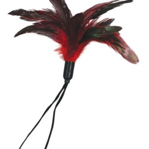 Pleasure Feather - Red