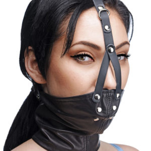 Face Harness With Stuffer Gag