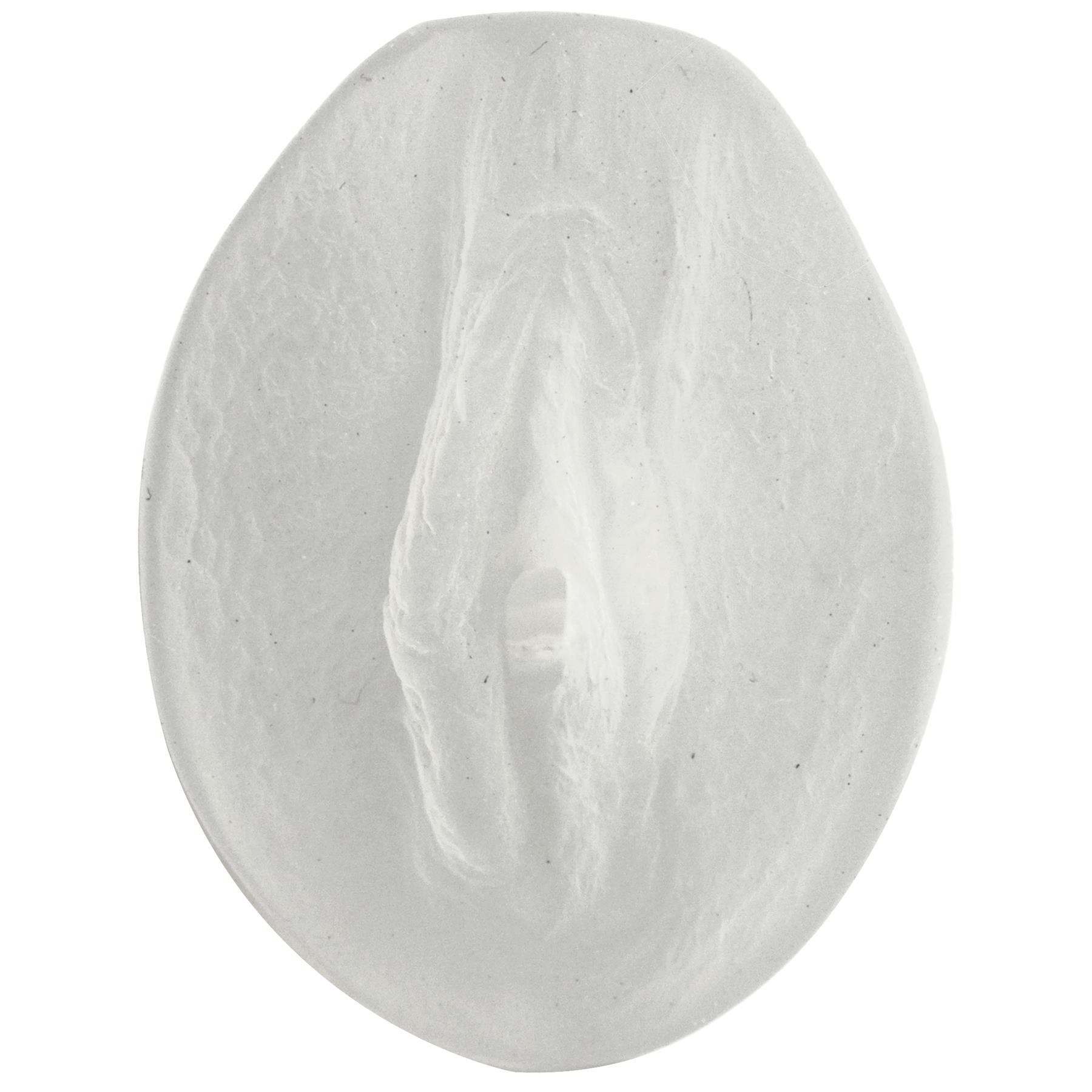 Palm Pal Frosted Ultraskyn Masturbator - Pussy - Clear